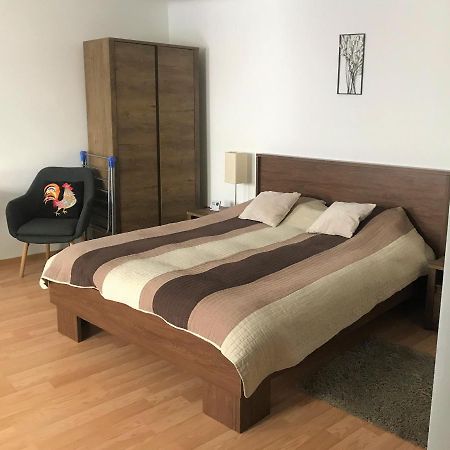 בראשוב Silvia Studios מראה חיצוני תמונה
